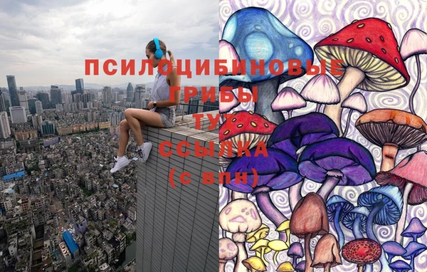 круглые Гусев