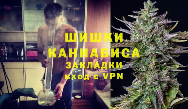 круглые Гусев