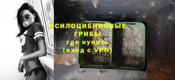 мяу мяу кристалл Строитель