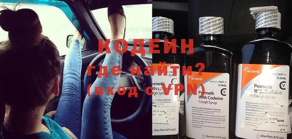 круглые Гусев