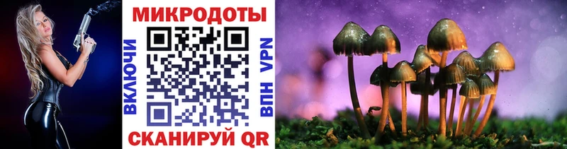 Псилоцибиновые грибы Psilocybine cubensis  дарнет шоп  блэк спрут ТОР  Новая Ладога 